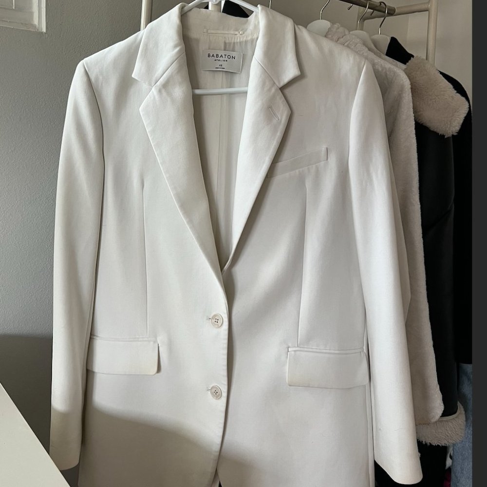 Aritzia Babaton New Agency Blazer